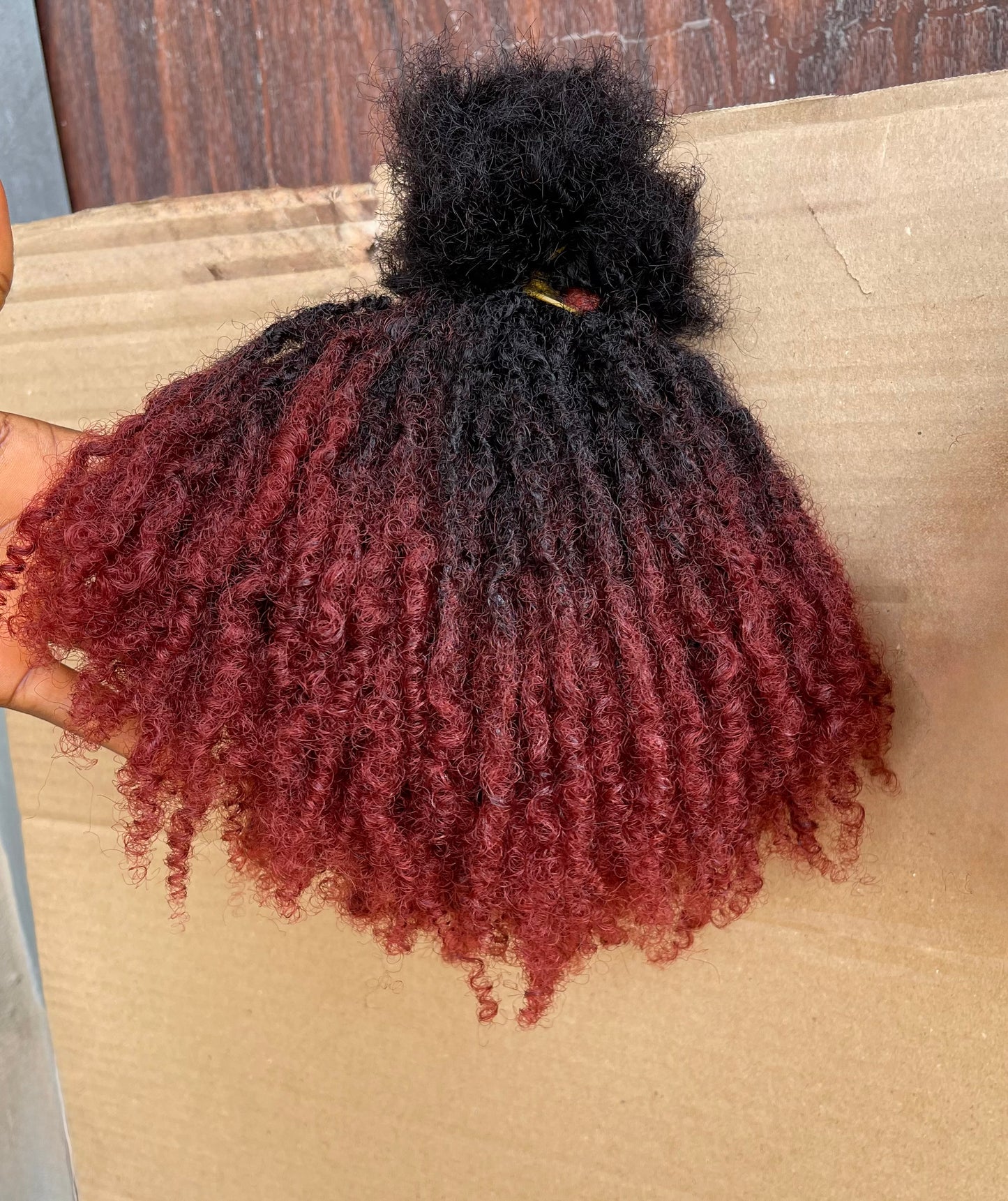 Sister Locs
