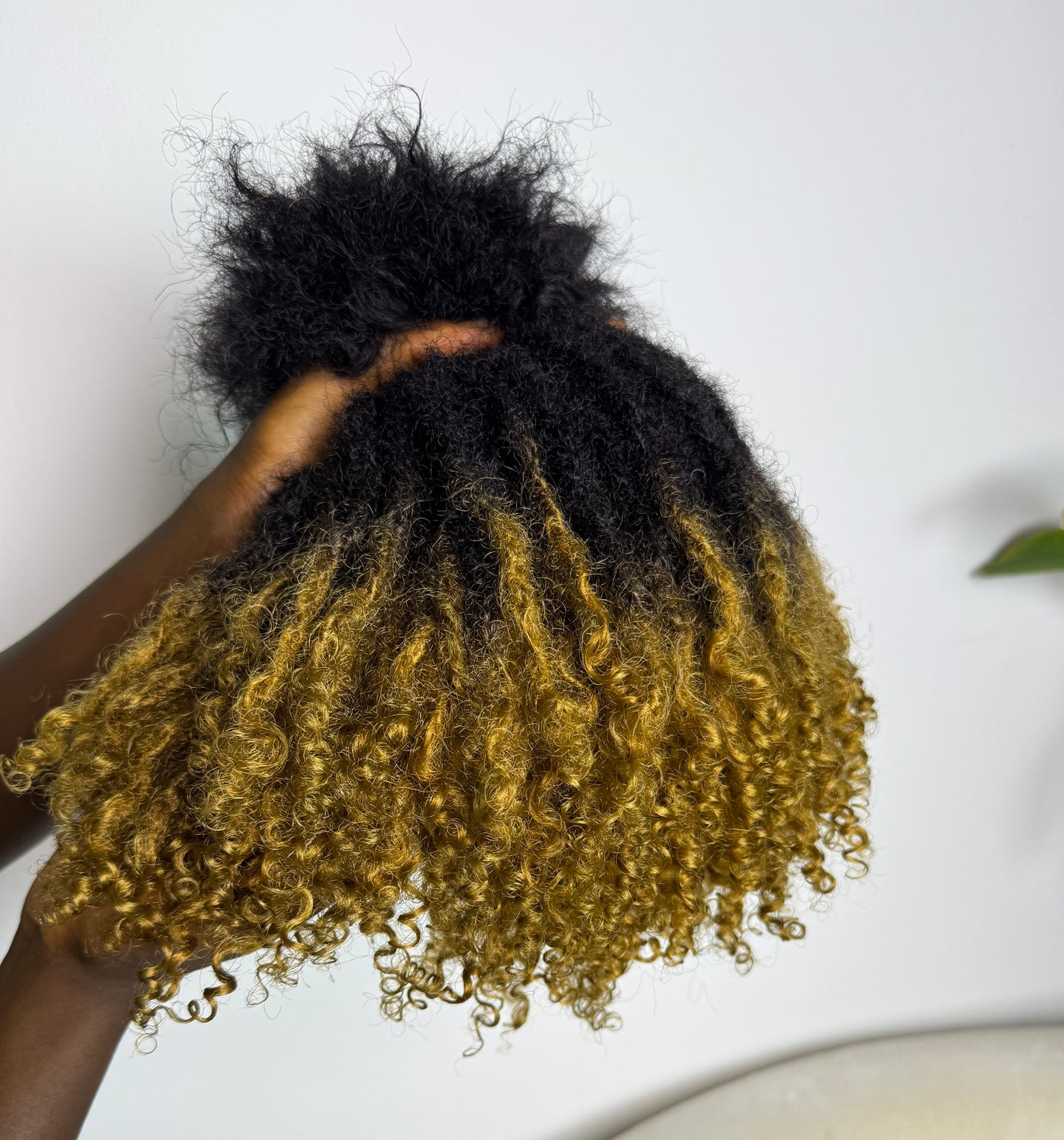 Sister Locs